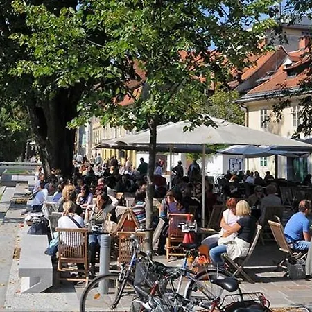 Apartament By The Castle Hill